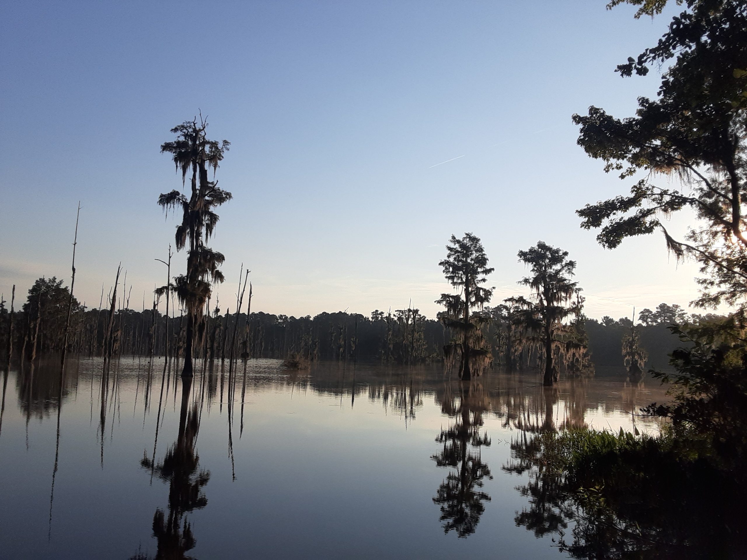 Suwannee Lake